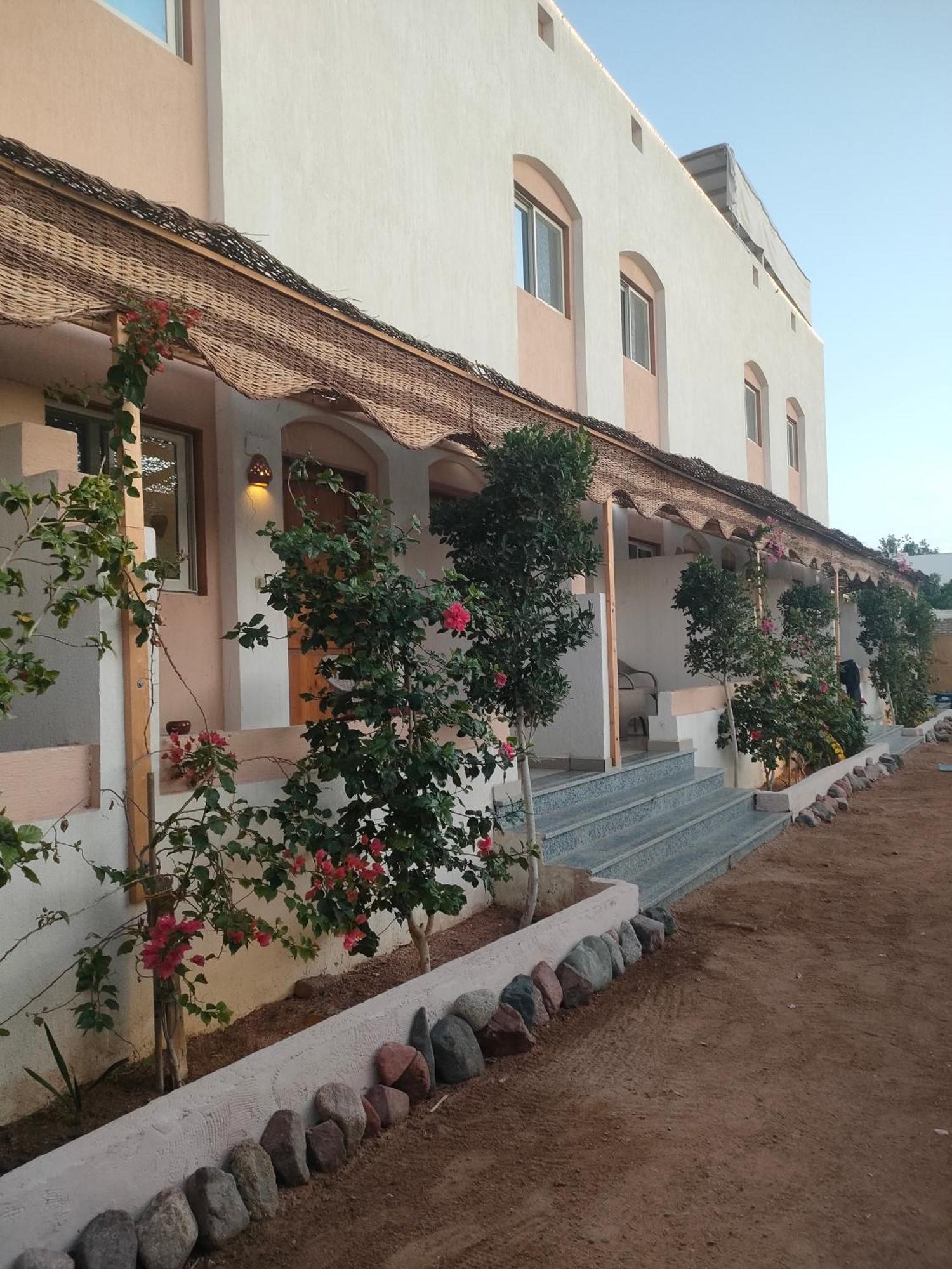 Al Deira Dahab Hotel Dış mekan fotoğraf